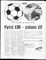 Síða 12