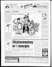 Síða 20