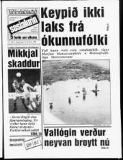 Síða 1