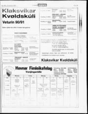 Síða 15