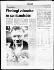 Síða 16