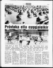 Síða 3