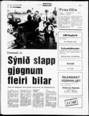 Síða 5