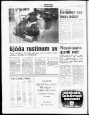 Síða 6