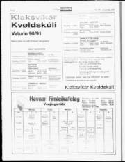 Síða 8