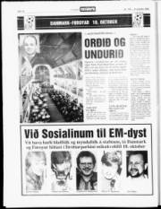 Síða 15