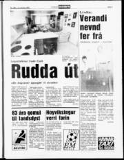 Síða 5