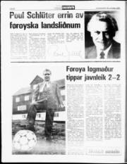 Síða 8