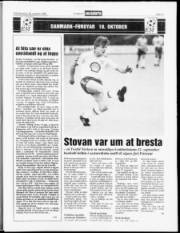 Síða 11