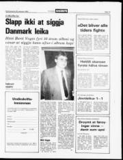 Síða 13