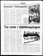 Síða 14