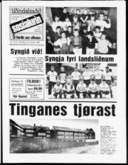 Síða 1