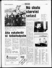 Síða 3