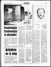 Síða 5