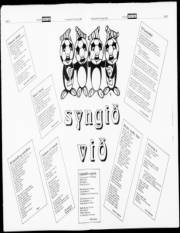 Síða 12