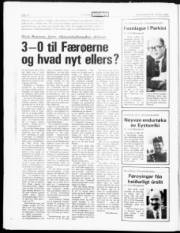 Síða 17