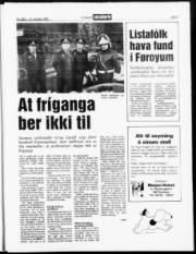 Síða 3