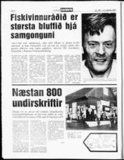 Síða 6