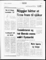 Síða 9