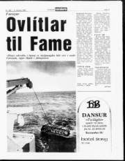 Síða 11