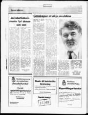 Síða 16