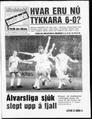 Síða 1