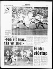Síða 3
