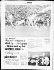 Síða 6