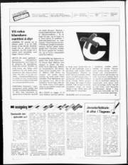 Síða 2