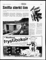 Síða 5