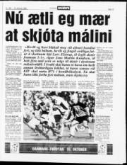 Síða 12