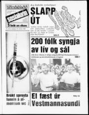 Síða 1