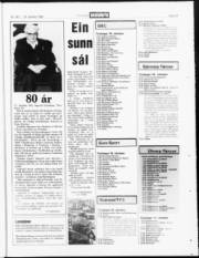 Síða 19