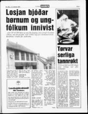 Síða 3