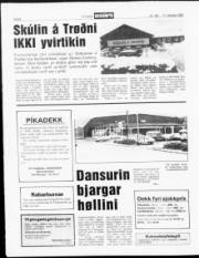 Síða 8
