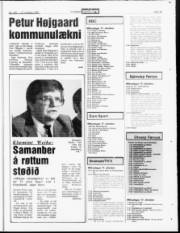 Síða 15