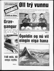 Síða 1