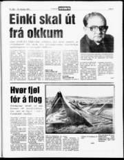 Síða 3