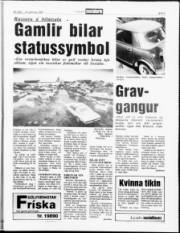 Síða 5