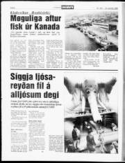 Síða 8