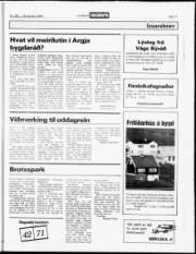 Síða 17