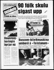 Síða 1