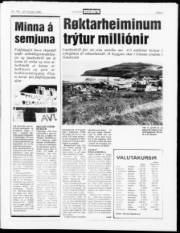 Síða 3