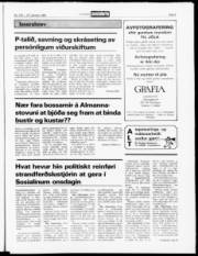 Síða 9