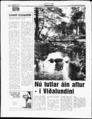 Síða 13