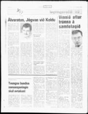 Síða 17