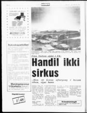 Síða 10