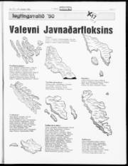 Síða 11