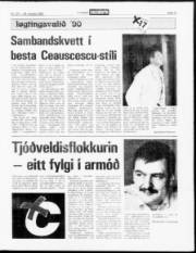 Síða 13