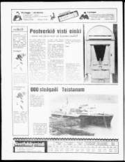 Síða 24